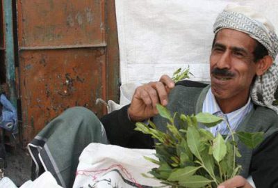 Yemen’de bu bitki yasaklandı