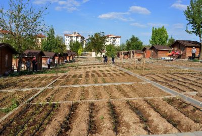 Batıkent Hobi Bahçesi’nde Fide Dağıtımı