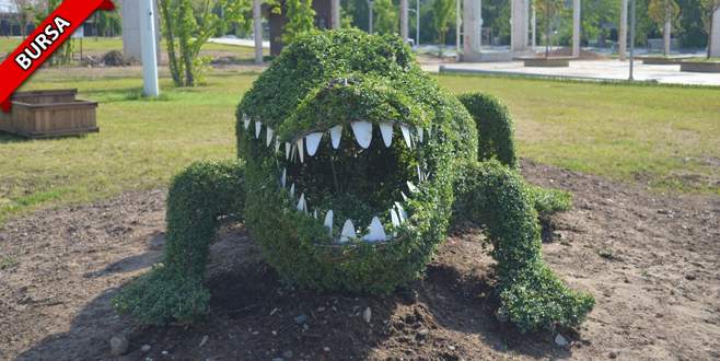 Dikkat Timsah çıkabilir!