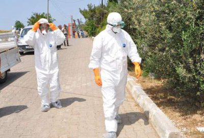 Kanatlı hayvanlar toplanıyor