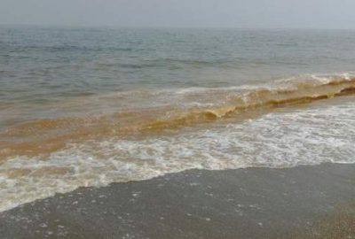 Bursa’da korkutan görüntü