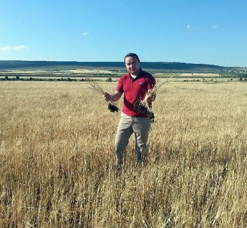 Kilis Ziraat Odası Genel Sekreter Mehmet Ümit Deli, yağışların bu