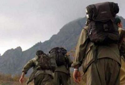 Muş’ta kaçırılan 2 kişi serbest bırakıldı