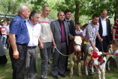 Düzce’de Dünya Süt Günü Kutlandı