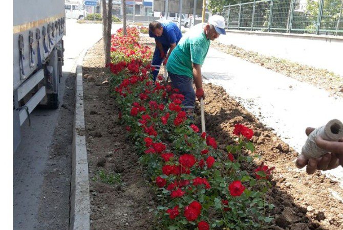 Kartepe Belediyesi yaz aylarında kent estetiğine katkı vermek amacıyla kavşaklarda
