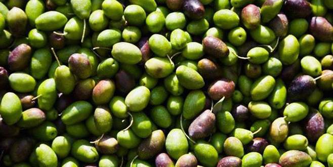 20 yıldır böylesi görülmedi