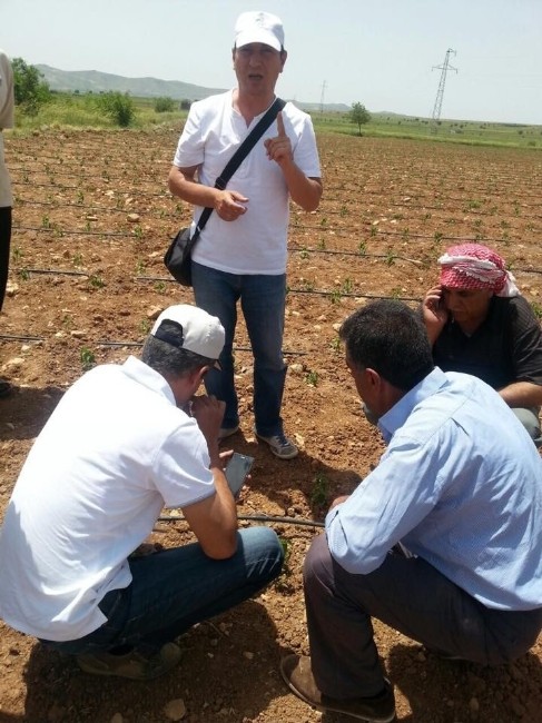 Tarlaların Verimliliği Kontrol Edildi