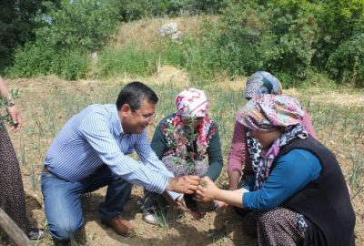 Yırca’da Zafer Ağaçları Dikildi