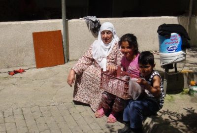 (Özel Haber) Muş’ta Dört Ayaklı Hindi Yavrusu Görenleri Şaşırtıyor