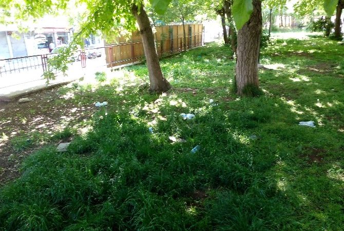 Diyarbakır’ın Silvan ilçesindeki tarihi Selahaddin-i Eyübi Camisi’nin bahçesinde biriken çöplere,