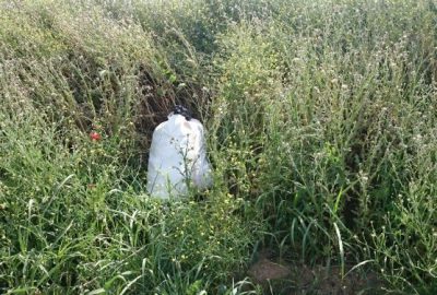 Diyarbakır’da düzenlenen operasyonda, 16 kilo 40 gram esrar maddesi ele