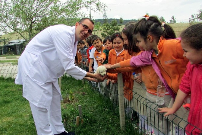 Ana Okulu Öğrencileri Hayvan Barınağında