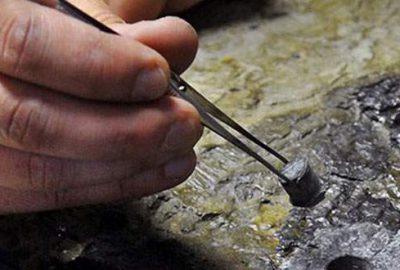 İnşaat kazısında 60 milyon yıllık fosil çıktı