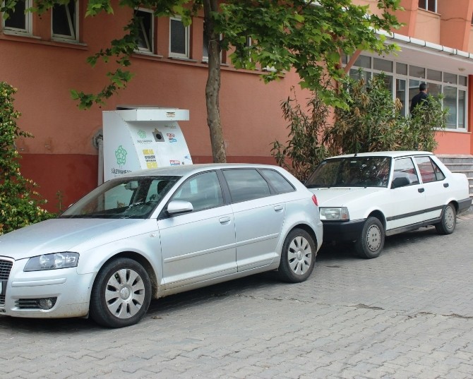 Hatalı Parklar Sokak Hayvanlarına Engel Oluyor