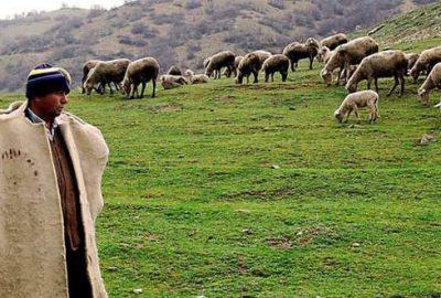 5 bin lira maaşla işçi bulamıyorlar