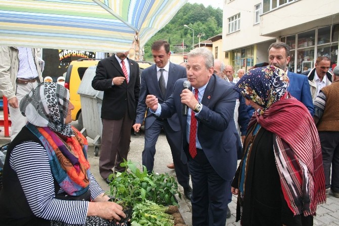 Elinde Mikrofonla Dolaşıp Seçim Çalışması Yürütüyor