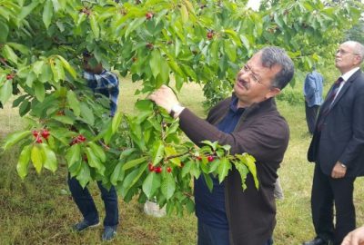 “Dörtlü İttifakı 7 Haziran’da Milletimiz Sandıkta Yıkacaktır”