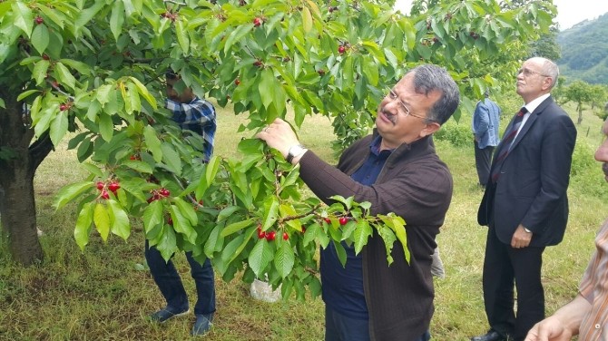 “Dörtlü İttifakı 7 Haziran’da Milletimiz Sandıkta Yıkacaktır”