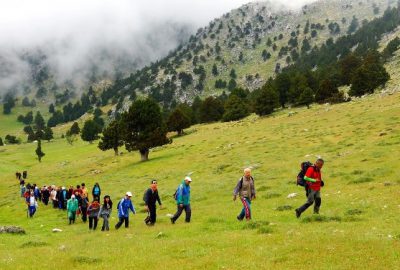 Yaylalarda Yürüdüler