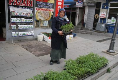 Çiftçiler Sebze Fidelerini Pazardan Karşılıyor