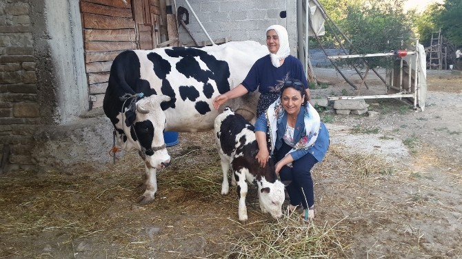 Şevkin: “Çiftçi, Ürününü Gerçek Fiyatına Satamıyor”