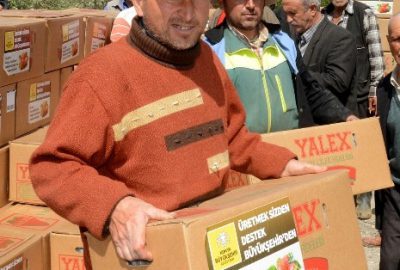 Büyükşehir’den Çiftçiye 4 Milyon Liralık Çilek Desteği