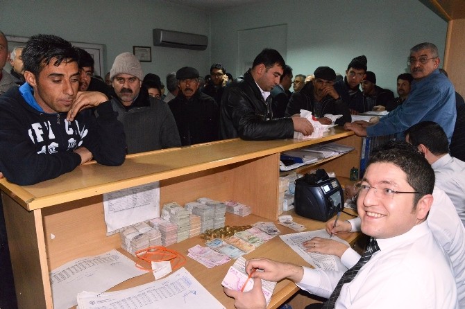 Kayseri Şeker’den Pancar Ekicisi Çiftçilere 36 Milyon Çapa Avansı