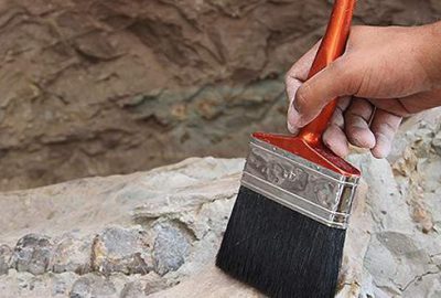 Kanada’da 68 milyon yıllık dinozor fosili bulundu