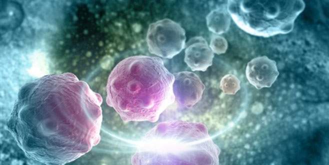 Kanser tedavisinde büyük gelişme!