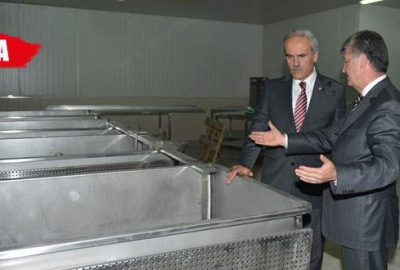 BESAŞ beyaz peynir üretimine başlıyor