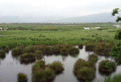 Bursa kent Konseyi Karacabey Longoz’unda
