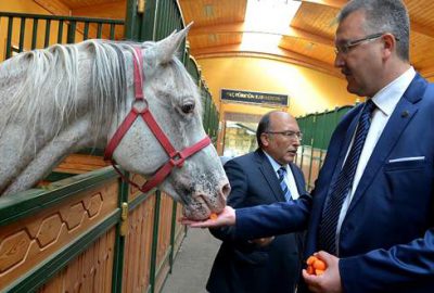 Turizm müsteşarı Karacabey’i inceledi