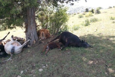 Isparta’da Yıldırım Düştü