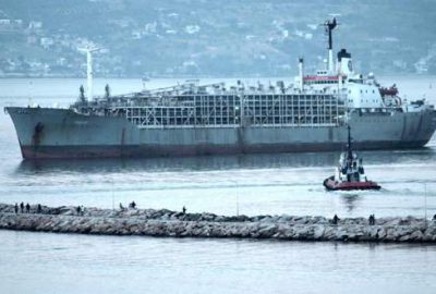 Uruguay’dan Bursa’ya büyükbaş hayvan ithali