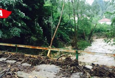 Selin faturası kabarıyor