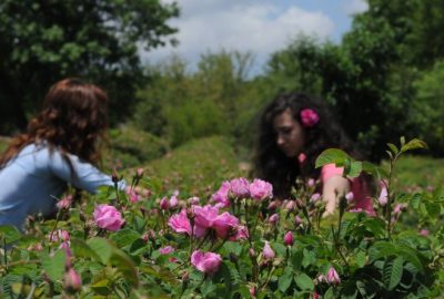 Isparta’da Gül Festivali