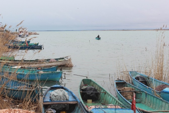 Beyşehir Gölü’nde Balık Av Yasağı Sona Eriyor