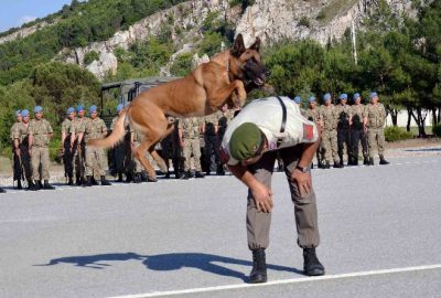 Jandarmanın Akıllı Köpeklerinden Gösteri