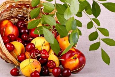 Herşeyi mevsiminde yiyin