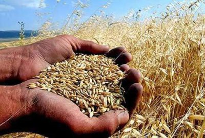 Bayraktar: Tarla ürünlerine geçişle fiyatlarda düşüş görülecek