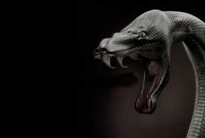 Bu rüyayı siz de görmüş olabilirsiniz