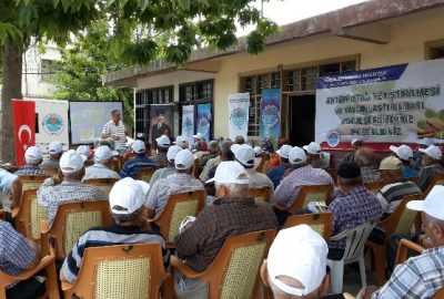 Mersin Büyükşehir’den Antep Fıstığı Atağı