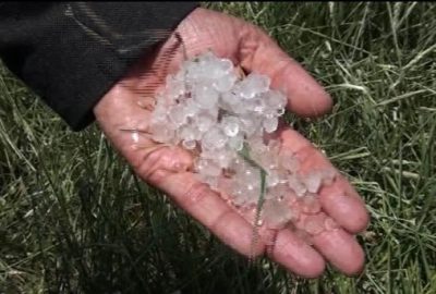 Sivas’ta Dolu Yağışı Ekili Alanlara Zarar Verdi