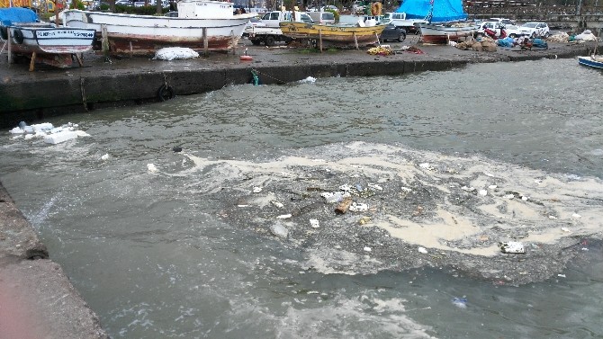 Yağışla Sürüklenen Atıklar Balıkçı Barınağında Kirlilik Oluşturdu