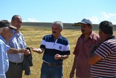 Konya’nın Kulu ilçesinde arpa hasadına başlandı. Kulu Ziraat Odası Başkanı