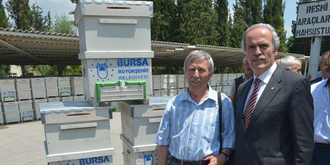 Bursa’da arı yetiştiricilerine 450 kovan dağıtıldı