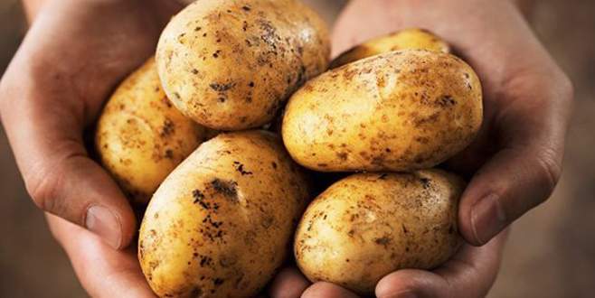 Patates fiyatlarında önemli düşüş