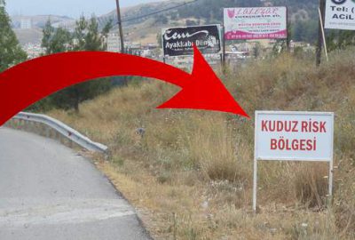 Hatay'ın Hassa İlçesi'nde 36 gün önce köpek tarafından ısırılan 4