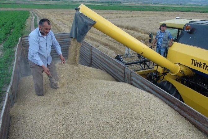 Türkiye’nin önemli tarım bölgelerinden biri olan Yozgat’ta hububat hasadı başladı.