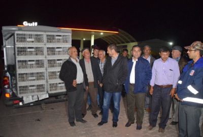 Balıkesir’in Sındırgı ilçesinde yaban hayata destek olmak amacıyla bin adet